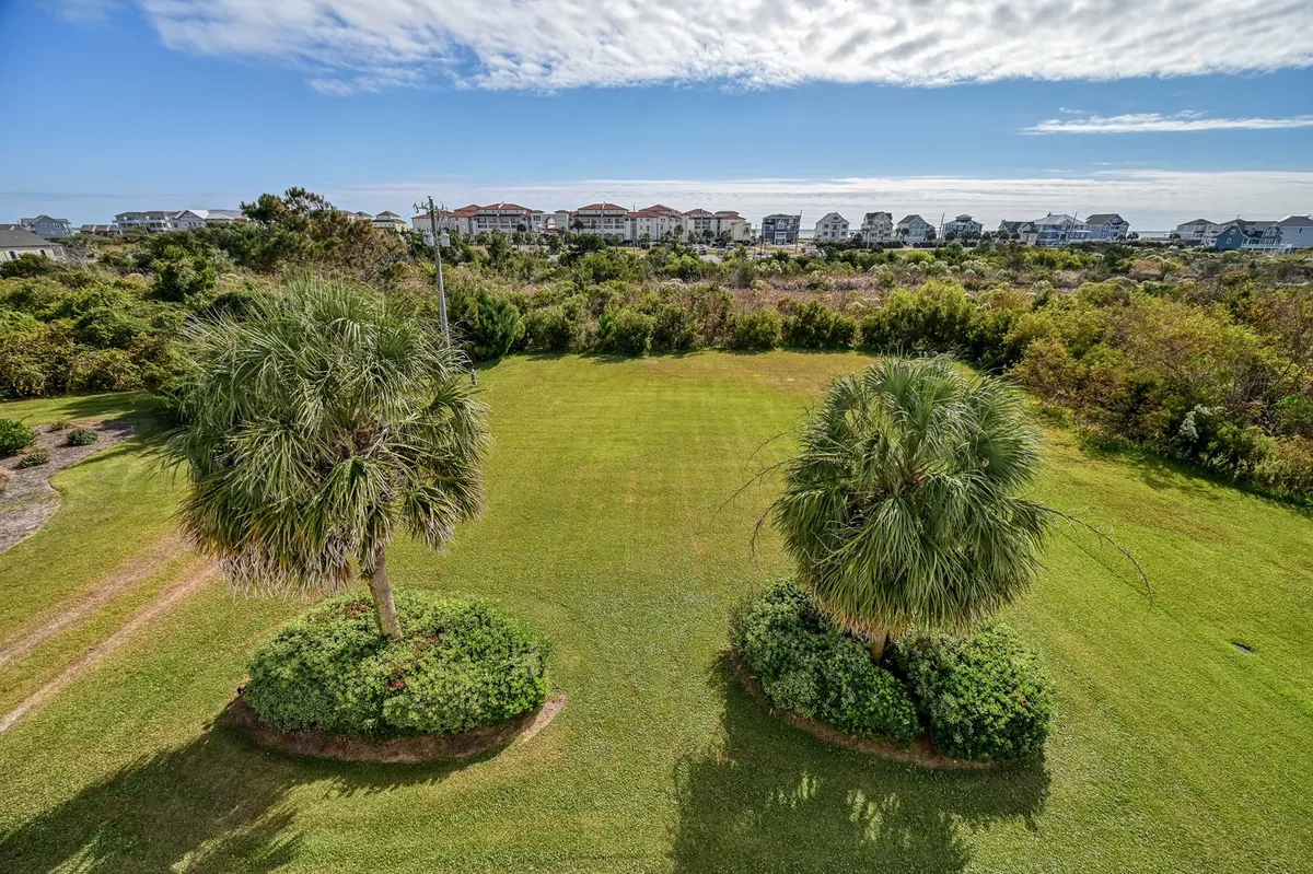 An outdoor scene with two palm trees framing a lush green lawn and a breathtaking ocean view in the background. The setting suggests a serene and uncrowded beach environment, ideal for outdoor gatherings and relaxation.